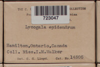 Image Associated With the Occurence